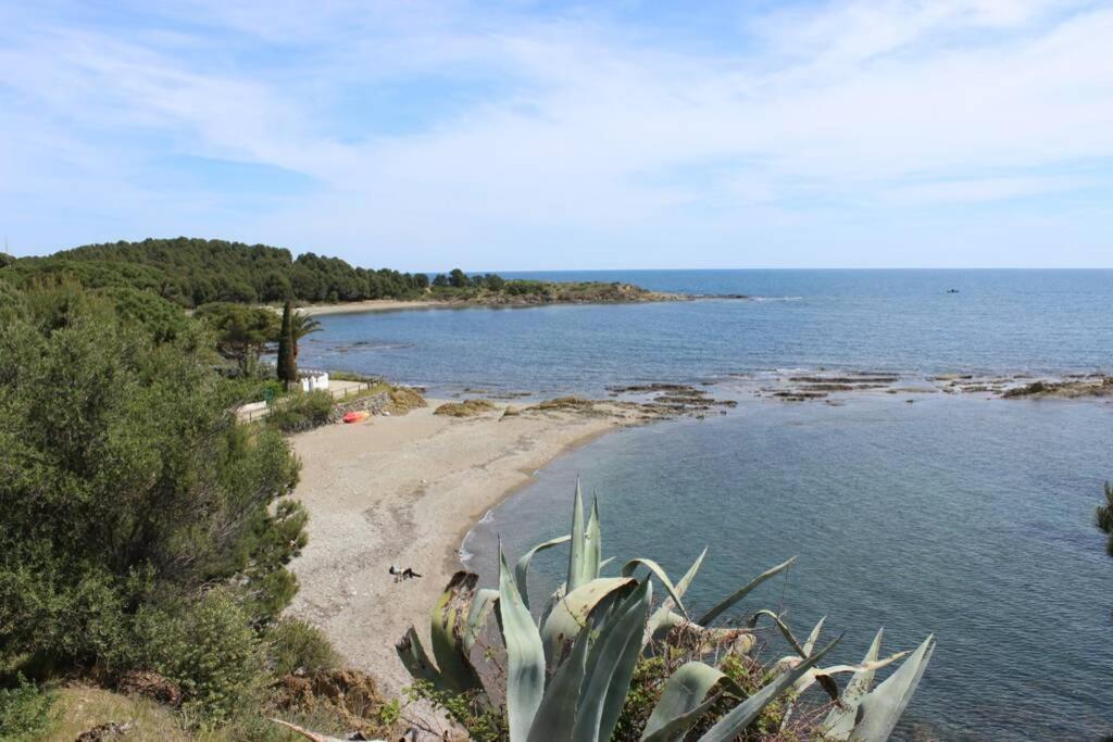 Luxury 4 Bed Apartment On Coastal Footpath At Cap Ras Llança Eksteriør billede